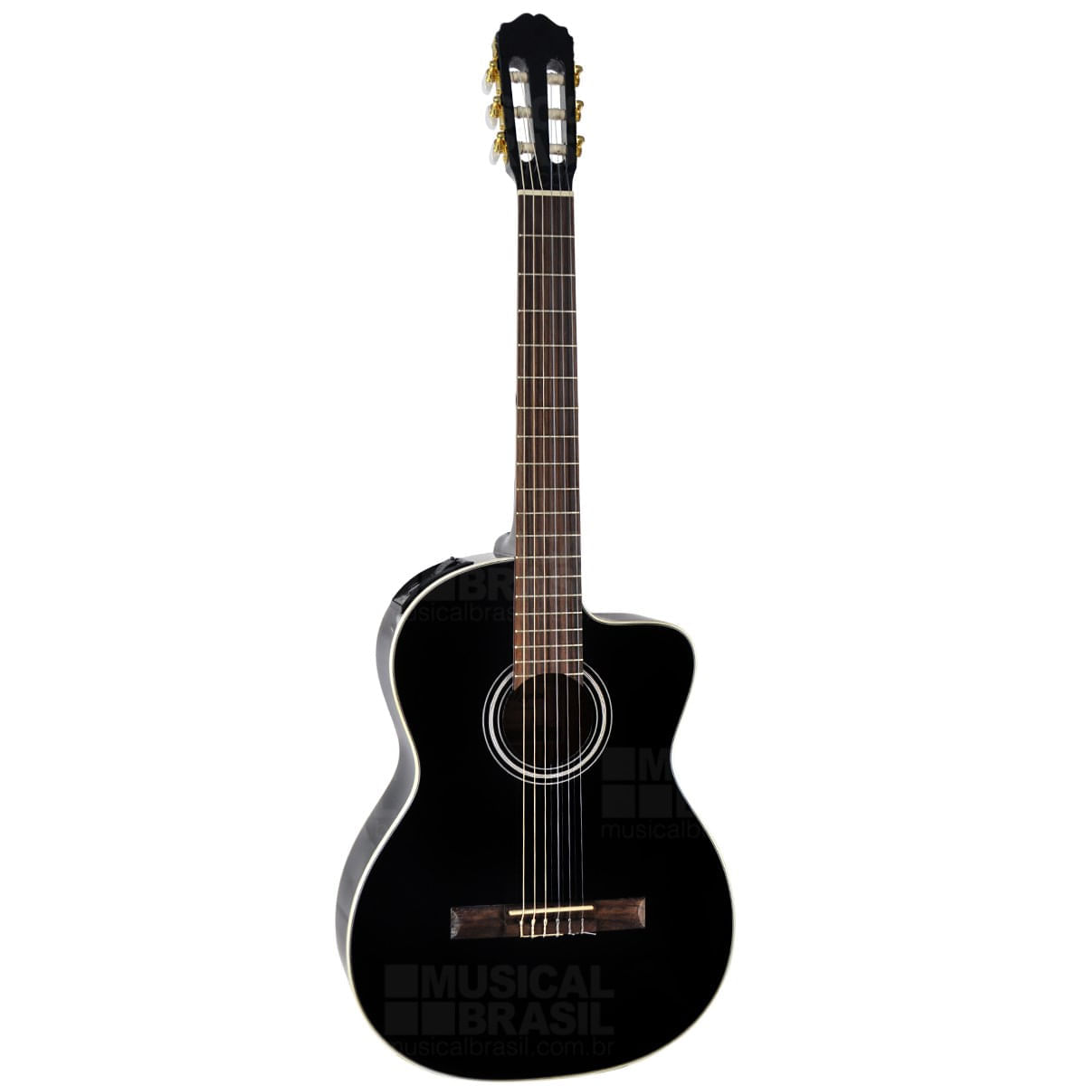 takamine eg124c nylon